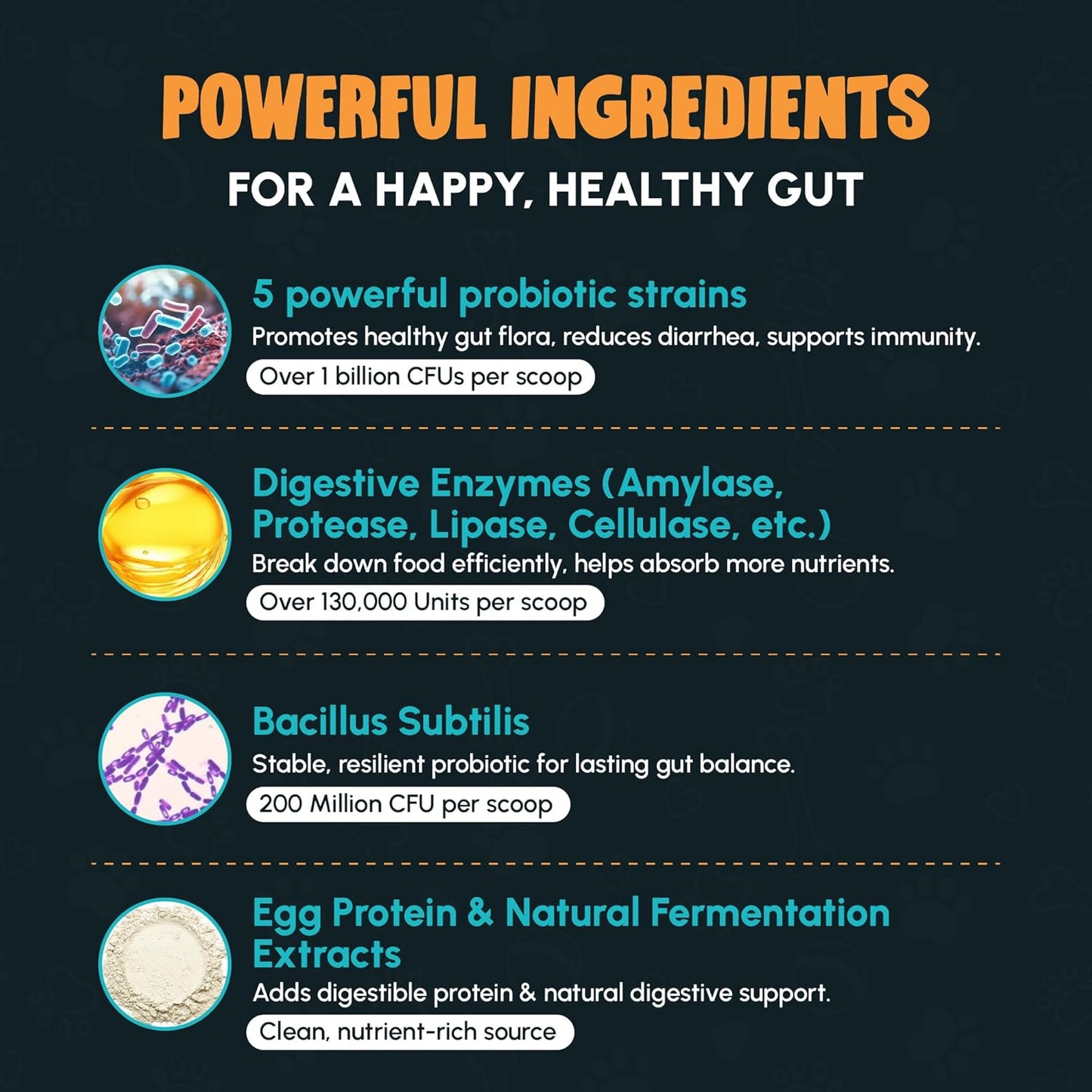 Dog Probiotics and Enzymes for Digestive Health, Gut Support, Gas & Seasonal Allergies – All Natural, Powerful Vet-Recommended Multi Strain Probiotics for Dogs – 60 Scoops