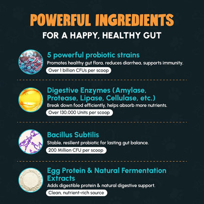 Dog Probiotics and Enzymes for Digestive Health, Gut Support, Gas & Seasonal Allergies – All Natural, Powerful Vet-Recommended Multi Strain Probiotics for Dogs – 60 Scoops