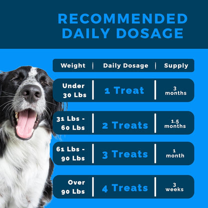 Dog Multivitamin Soft Chews | All-in-One Supplement for Immunity, Joints, Gut & Skin Health | Glucosamine Chondroitin, Vitamins & Probiotics | Roasted Peanut Flavor - 90 Count