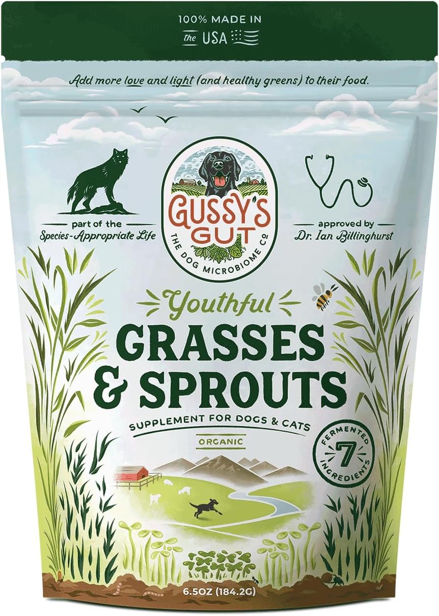 Gussy's Gut Youthful Grasses & Sprouts Dog Gut & Digestive Health Supplement- Human Grade Fermented Ingredients- Super Greens, Pre/Post & Probiotic All in One - Maintain Protocol