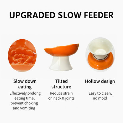 Ceramic Slow Feeder Bowl for Cats and Small Dogs, Elevated Tilted Pet Food Dish, Whisker Friendly Anti-Vomit Design, Heavy Stable Base, Dishwasher Safe， 5 Colors Options (Ruby Red)