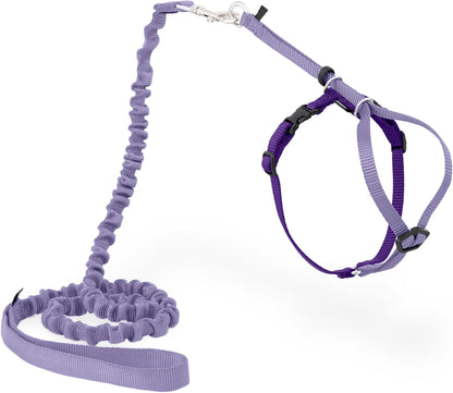 PetSafe Come with Me Kitty Cat Harness & Bungee Leash - Comfortable No-Choke Harness with Lightweight Bungee Leash for Outdoor Fun - Escape Free Pulling Prevention - Medium - Lilac