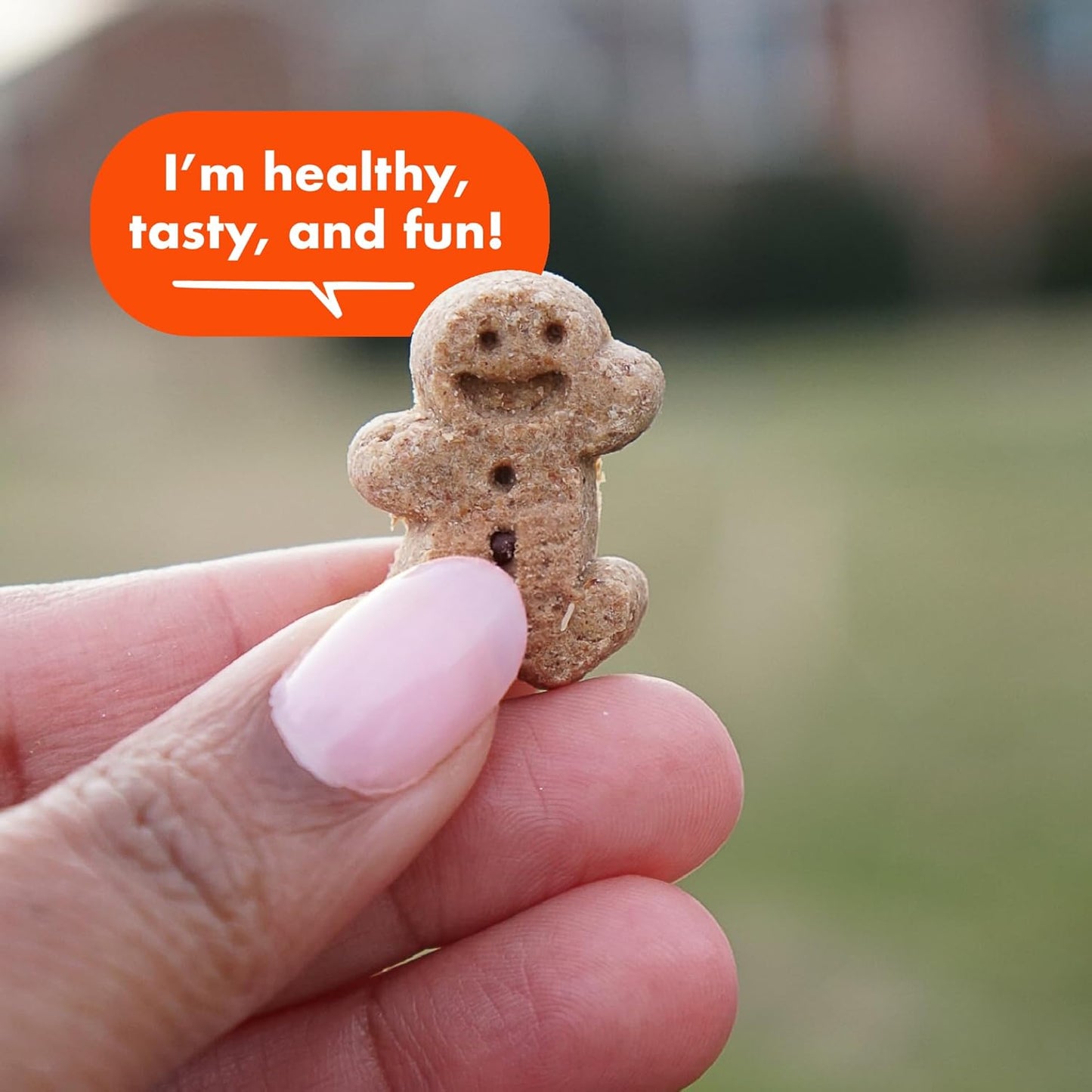 Buddy Biscuits Softies 8 oz Pouch, Soft & Chewy, Natural Peanut Butter Flavor Dog Treats, Oven Baked in The USA