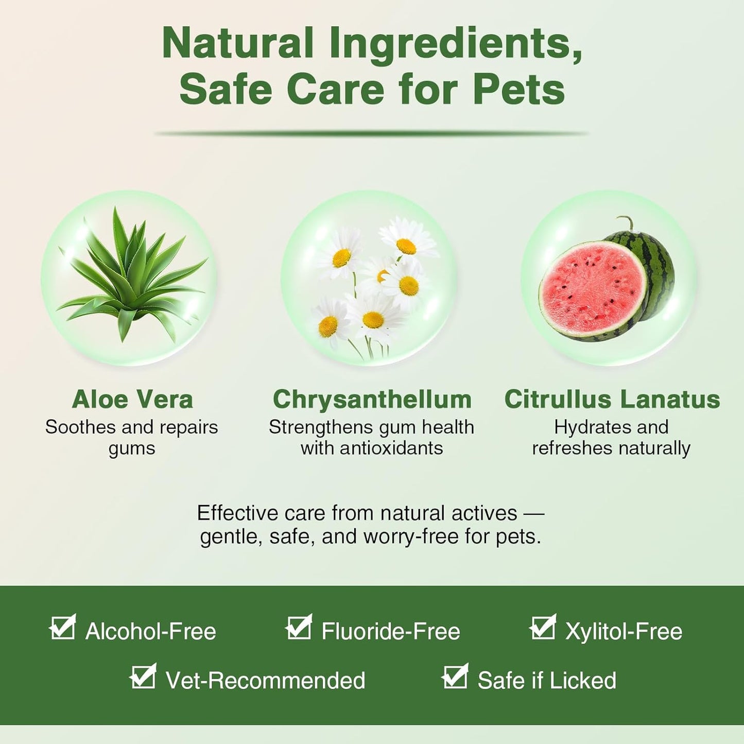 Cat Toothpaste Kit for Gum Care – Watermelon Flavor Dental Toothpaste with Finger Brush & Long-Handle Toothbrush – Soothes Gums, Freshens Breath, Reduces Plaque – Safe & Gentle for Daily Use