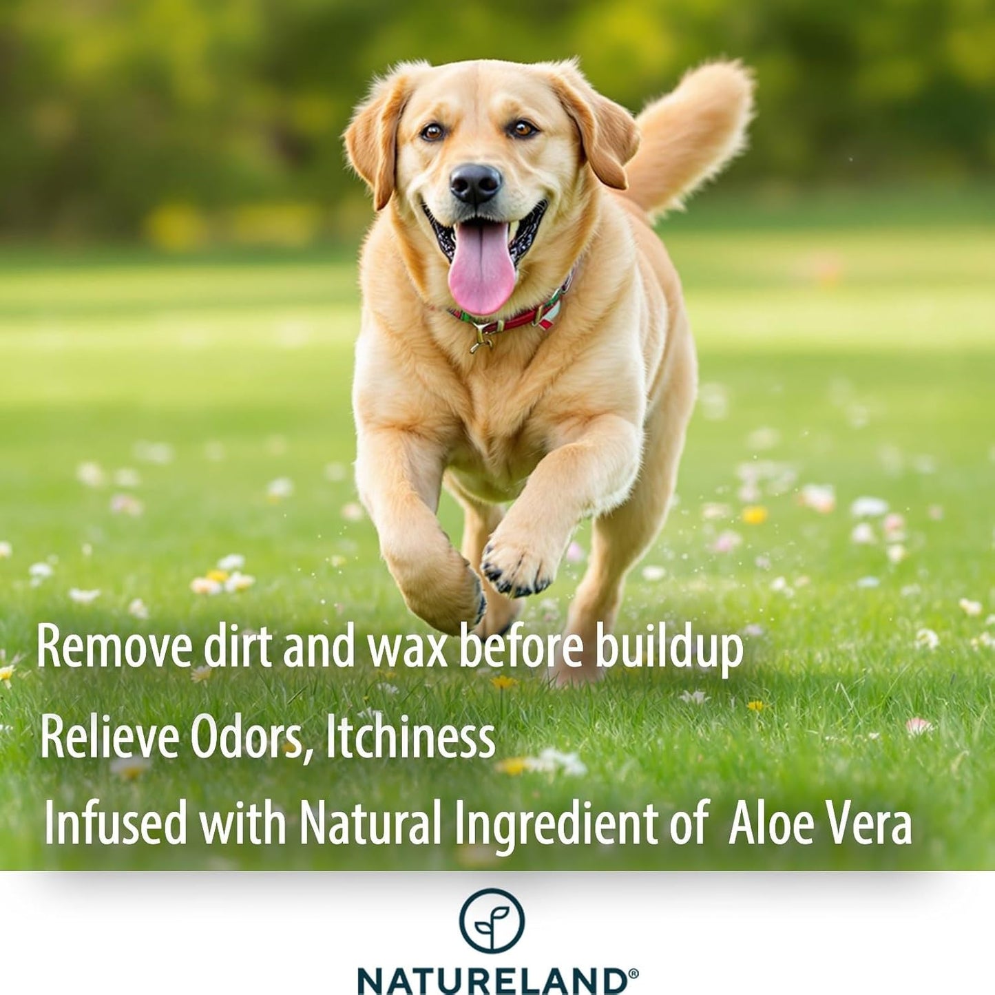 Natureland [Large Size Finger Wipes] Dog & Cat Ear Finger Wipes - Otic Cleaning Wipes for Infections and Controlling Ear Infections and Ear Odor in Pets (50 Large)