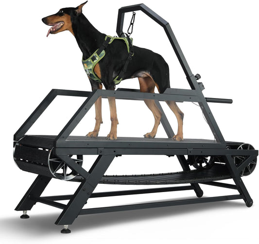 Dog Treadmill for Large Dogs, Medium Dogs with Brake, Dog Slatmill,Non-Electric Treadmill for with Step Counter, Adjustable Incline & Brake, Keep Active and Fit, Up to 300LBS
