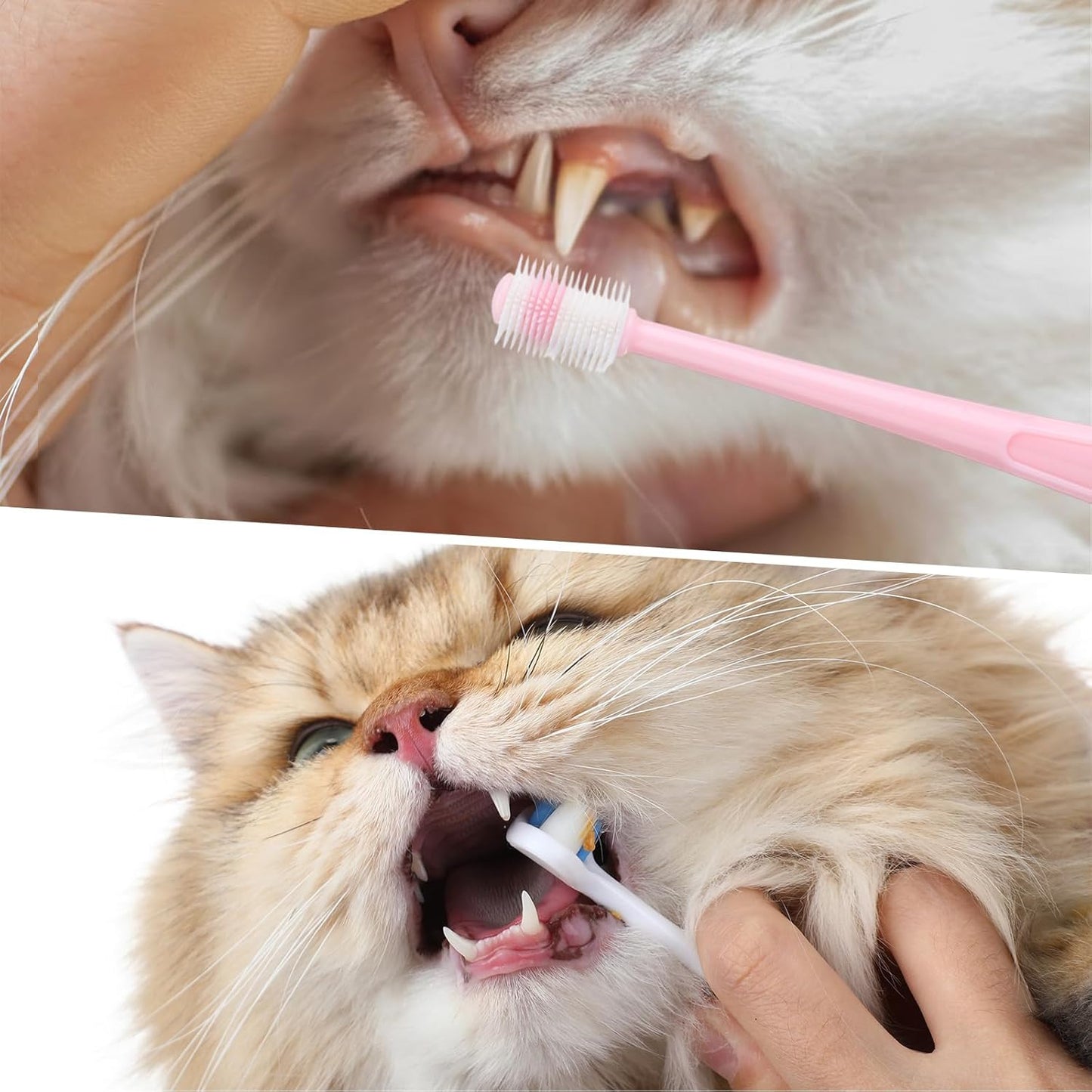 Ceenna 8 Pcs Small Dog & Cat Toothbrush with 2 Storage Clear Box 360 Degree Soft Silicone Deep Pet Teeth Cleaning Kit Cat Dental Care for Kitten and Small Dogs, 4 Different Shapes