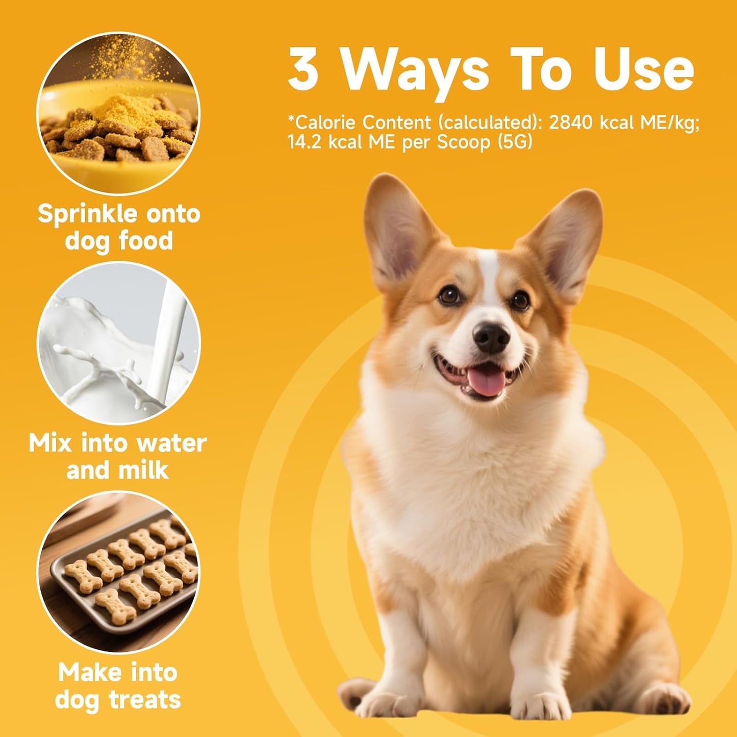 Pumpkin for Dogs - Pumpkin Powder for Dogs 8.11OZ, Digestion, Gut Health, Constipation Diarrhea Relief - Probiotics, Cranberry, Blueberry, Enzymes, Fiber Supplement Dog, to Make Pumpkins Puree for Dog