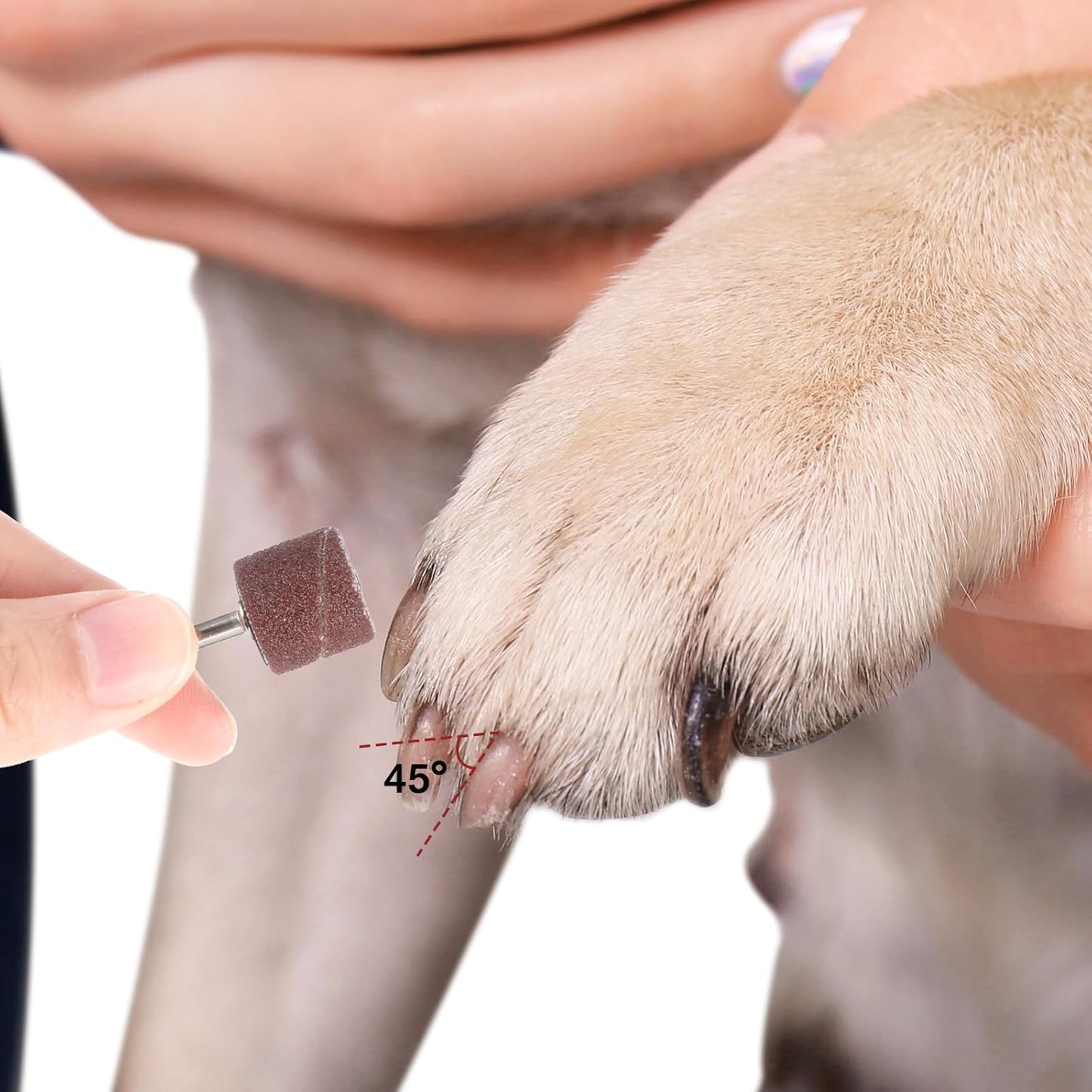 42 Pcs Pet Nail Grinder Replacement Kit with Grit Sanding Bands, Pet Smoother Claw Care Black Grinding Drums Pets Claw Grooming Supplies for Dog Claws Care (1/2 Inch 80/120 Grit)