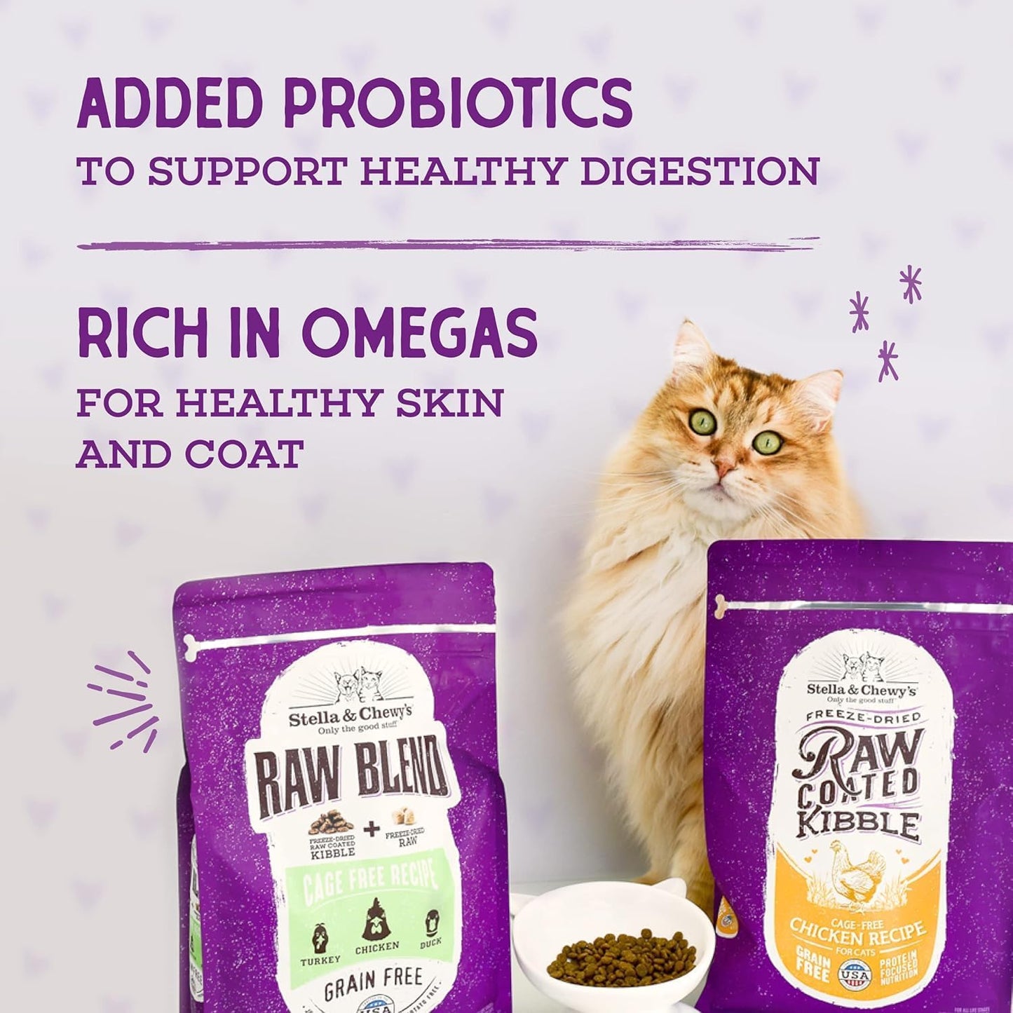 Stella & Chewy's Raw Coated Cat Food - High Protein, Grain-Free Kibble with Cage-Free Chicken - Premium Digestive Support with Probiotics - Natural Small Kibble - Perfect For Picky Eaters - 2.5lb Bag