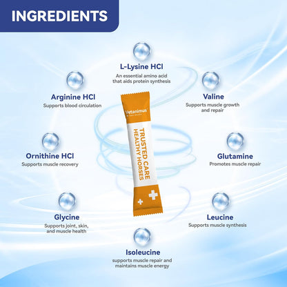 30-Day Supply Equine Body Repair Protein Supplement-Amino Acids Speed up Muscle Recovery After Exercise Promote Muscle Growth and Healthier Joints