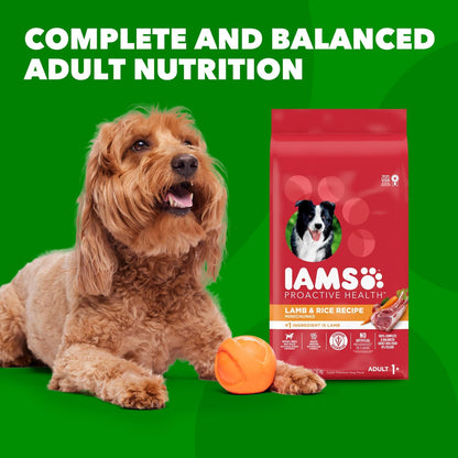 IAMS Proactive Health Minichunks Adult Dry Dog Food with Lamb & Rice, 30 lb. Bag