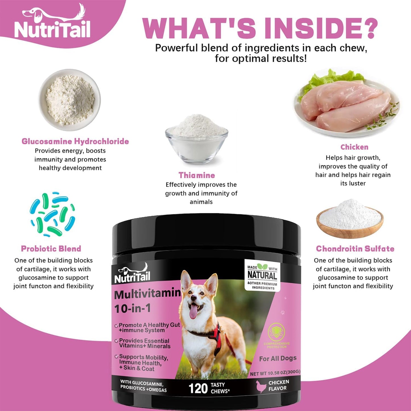 NutriTrail Multivitamin for Dogs – 10-in-1 Soft Chews with Glucosamine, Probiotics, Omega-3, Vitamins & Minerals – Supports Hip & Joint, Digestion, Skin & Coat, and Immune Health – Chicken, 120 Ct