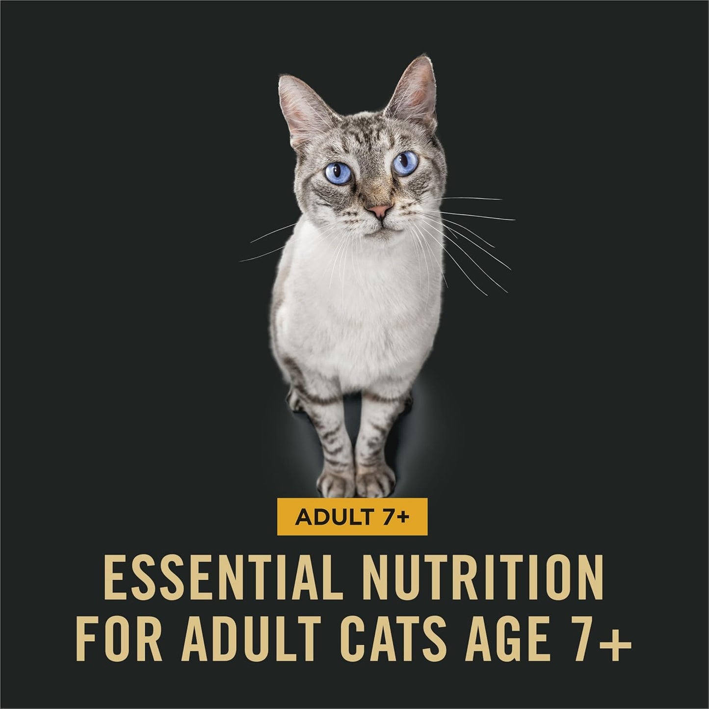 Purina Pro Plan Senior Cat Food Dry 7+ Complete Essentials Chicken and Rice Formula 14 Pound (Pack of 1)