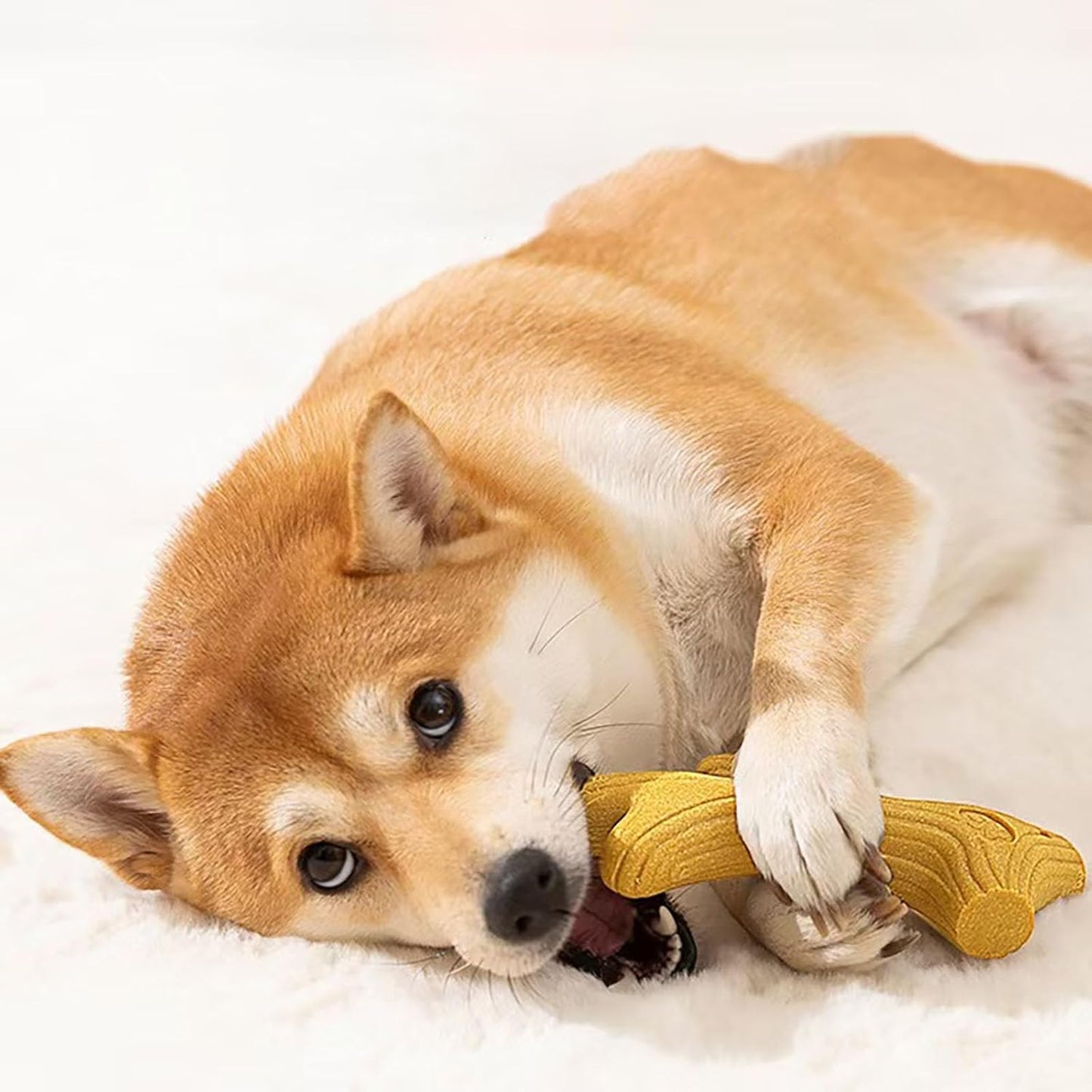 YIKANGHENG Dog Teeth Grinding Toy, 2 Pcs 5.2 Inch High Strength Modified Polymer Pine Wood Health for Interactiving and Teasing Dog (Small)