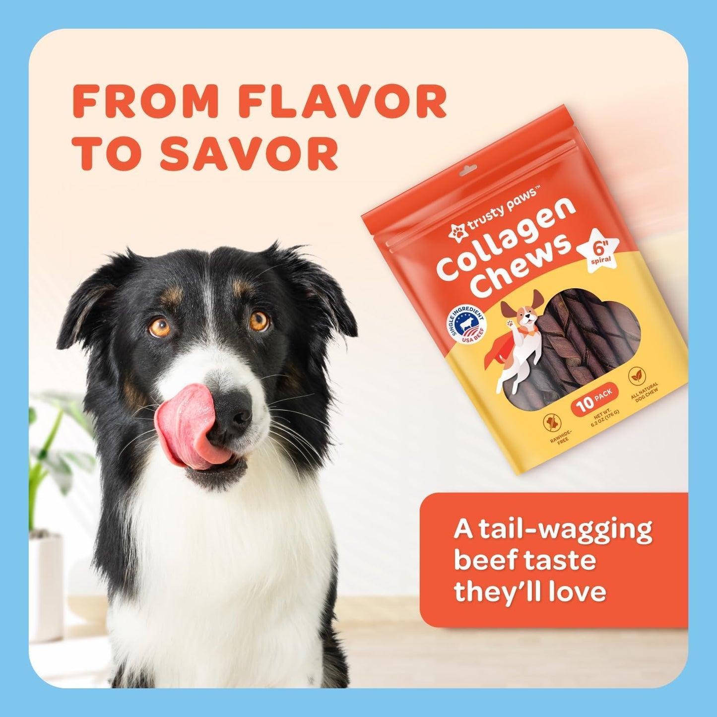 Beef Collagen Sticks for Dogs - One Ingredient Collagen Chews - Collagen Treats - Made in USA Collagen Dog Chews (TP-Collagen-10ct)