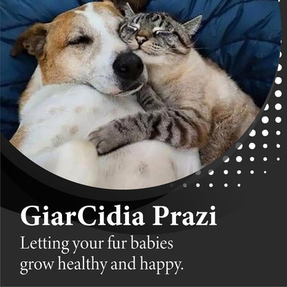 No More Worms in Cats and Dogs- Dewormer for Cats and Dewormer for Dogs - Chicken Flavour 120 MLS with 3ml Dropper