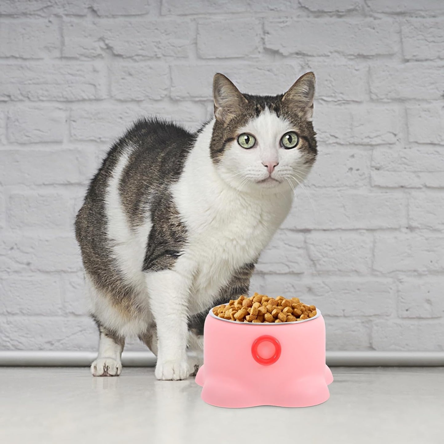 ERINGOGO Stainless Steel Cat Feeding Bowl Non-Tipping Pet Water Dish Portable Dog Food Tray Peach Pink for Home and Travel Use