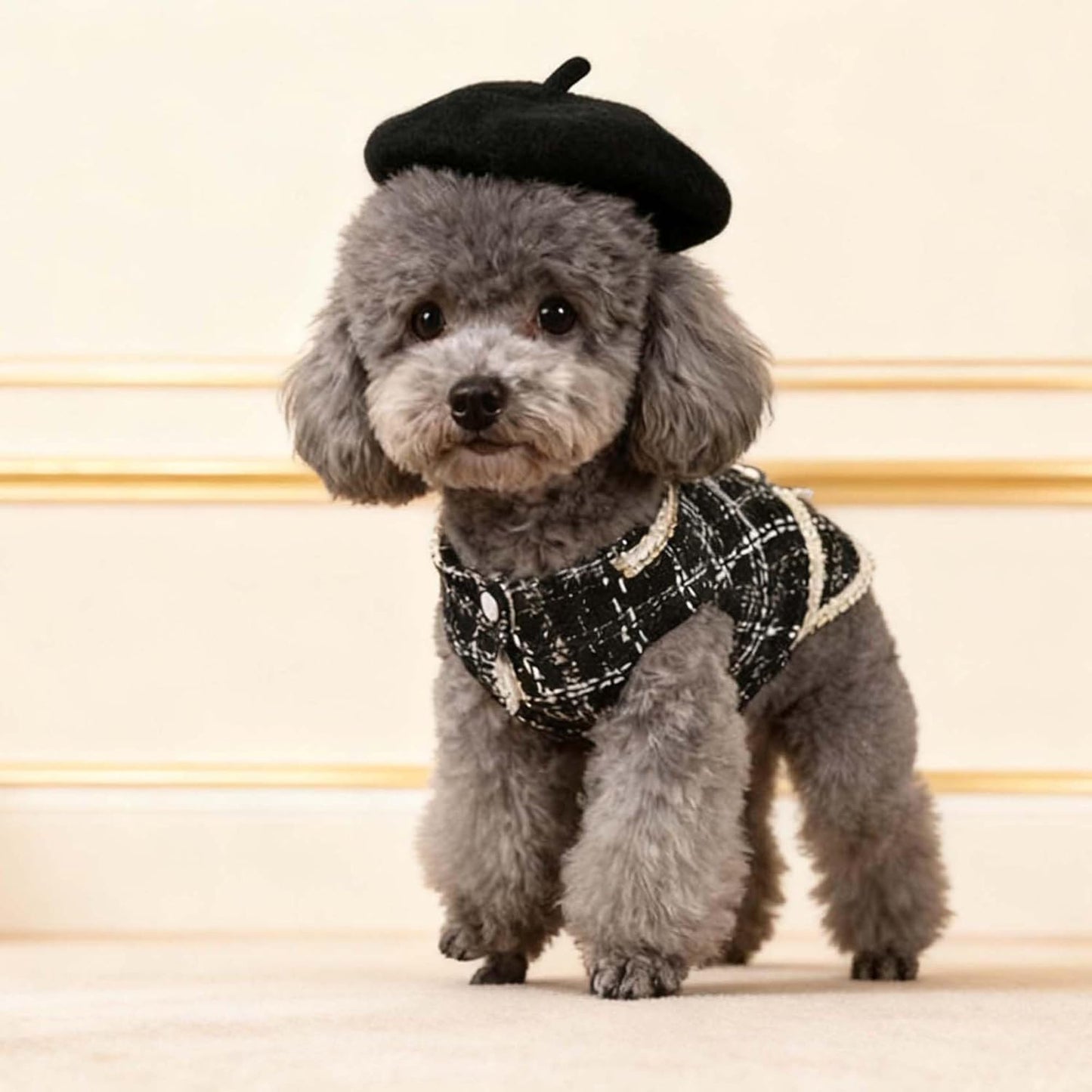 Luxury Dog Clothes Tweed Suits and Beret Hat,Black Winter Warm Pet Coat Vintage Jacket Vest,Cat Artist Costume Cosplay Party Outfits for Small Medium Dogs,XL