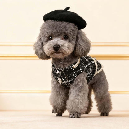 Luxury Dog Clothes Tweed Suits and Beret Hat,Black Winter Warm Pet Coat Vintage Jacket Vest,Cat Artist Costume Cosplay Party Outfits for Small Medium Dogs,XL