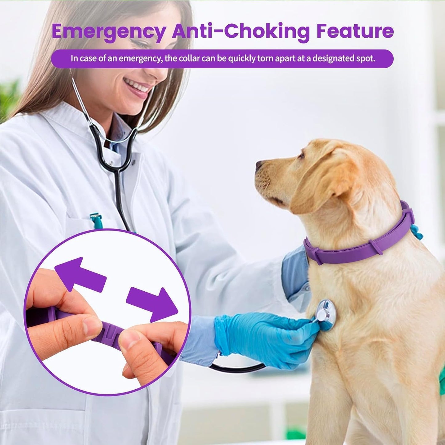 Calming Collar for Dogs,Rainbow Dog Calming Collars,Dog Pheromone Collar for Fast-Acting, Lasts 60 Days, Choke-Free Design,1 Pack Gift