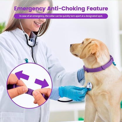 Calming Collar for Dogs,Rainbow Dog Calming Collars,Dog Pheromone Collar for Fast-Acting, Lasts 60 Days, Choke-Free Design,1 Pack Gift