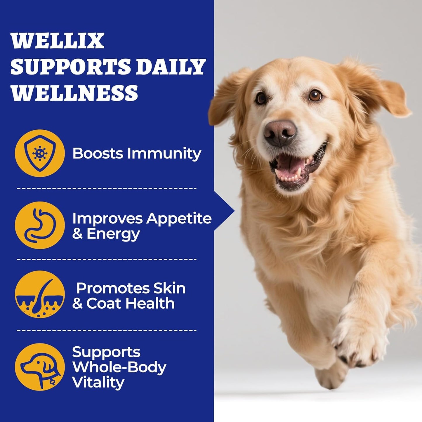 260 Bites Wellix 10-in-1 Dog Vitamins - Multivitamin for Dogs Immune Supports,Boost Hip&Joint,Skin&Coat,Liver&Gut Health -Dog Antioxidant Supplements