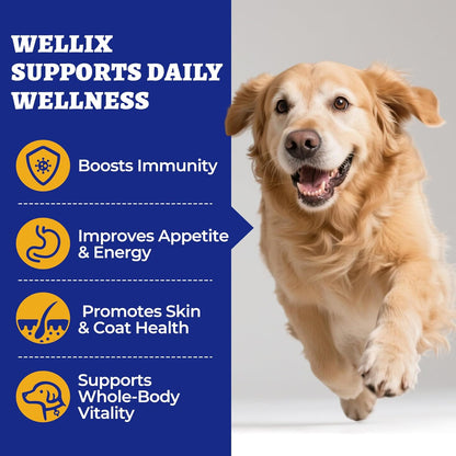 260 Bites Wellix 10-in-1 Dog Vitamins - Multivitamin for Dogs Immune Supports,Boost Hip&Joint,Skin&Coat,Liver&Gut Health -Dog Antioxidant Supplements
