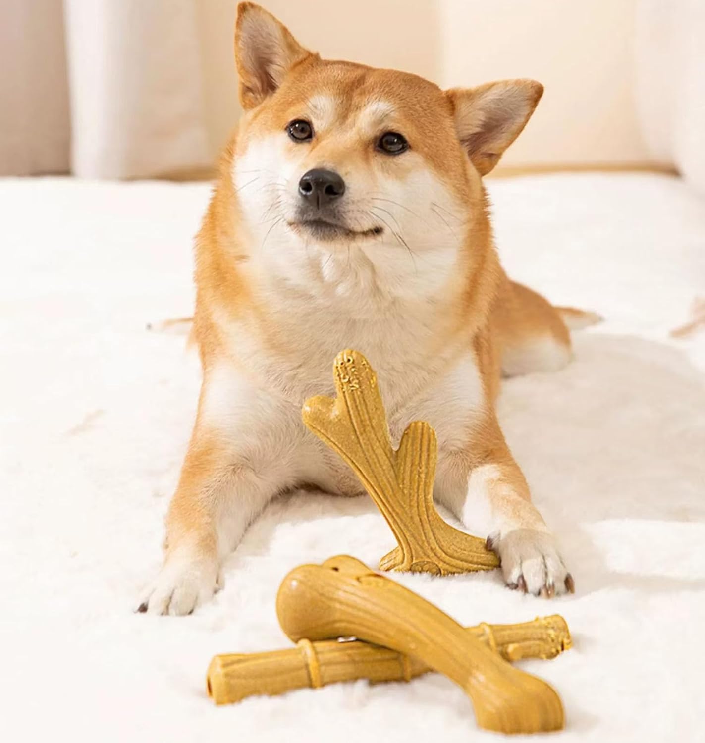 YIKANGHENG Dog Teeth Grinding Toy, 2 Pcs 5.2 Inch High Strength Modified Polymer Pine Wood Health for Interactiving and Teasing Dog (Small)