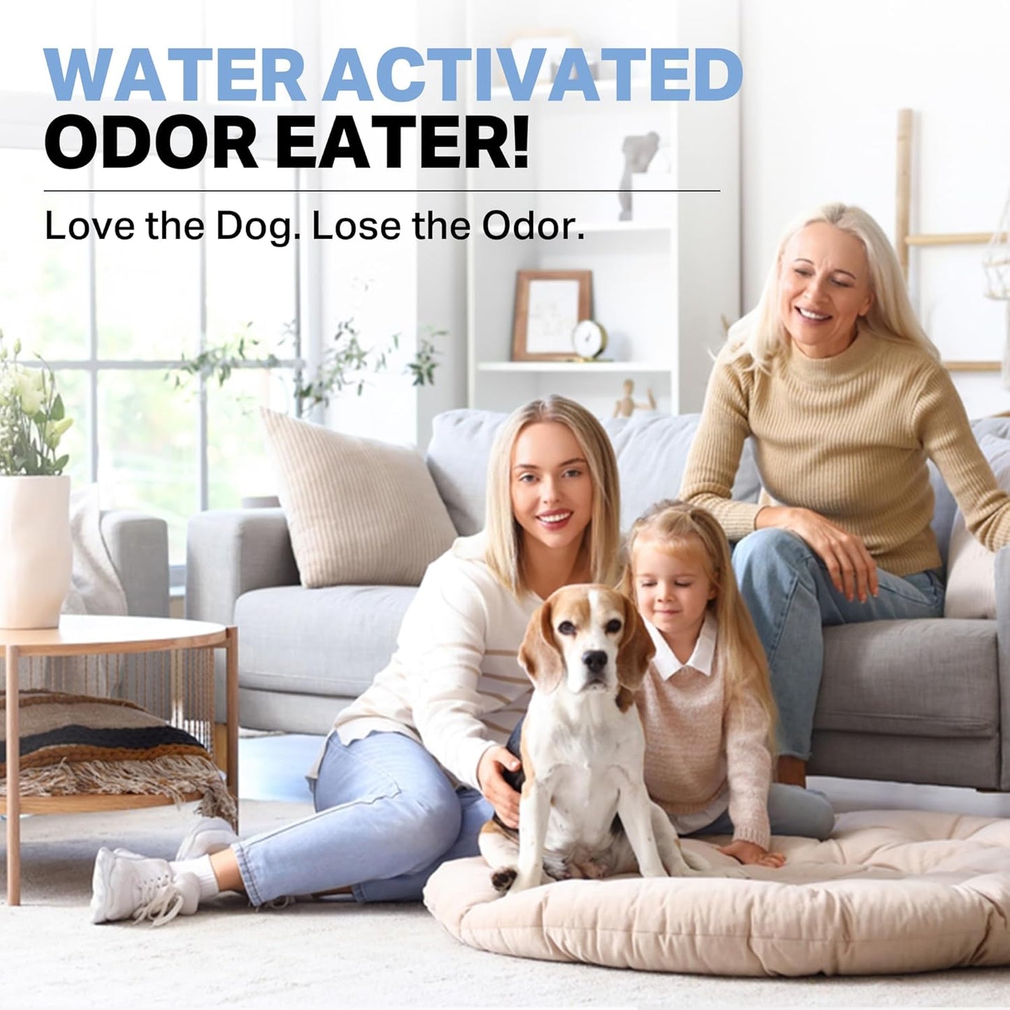 Kennel Odor Eliminator Concentrate – Enzyme Powder for Strong Pet Odor, Urine & Poop – Safe for Kennels, Crates, and Carpets – Makes 86 Gallons – Fragrance Free - Industrial Pet Urine Odor Eliminator.