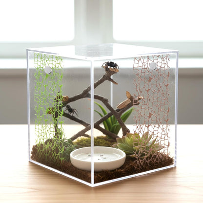 6Pcs Jumping Spider Habitat Accessories Enclosure Decor Spider Webbed Moss Ribbon with Magnets Climbing and Feeding Platforms Kit Green Brown