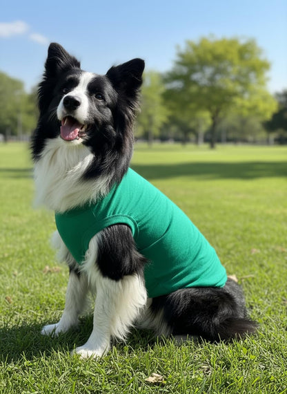 Chol&Vivi Plain Dog Shirt, 4pcs Blank Cotton Shirts Fit for Extra Small to Extra Large Size Dogs, Sleeveless Apparel Soft and Lightweight, Tank Top for All Breeds, Black/Grey/White/Dark Green, Large