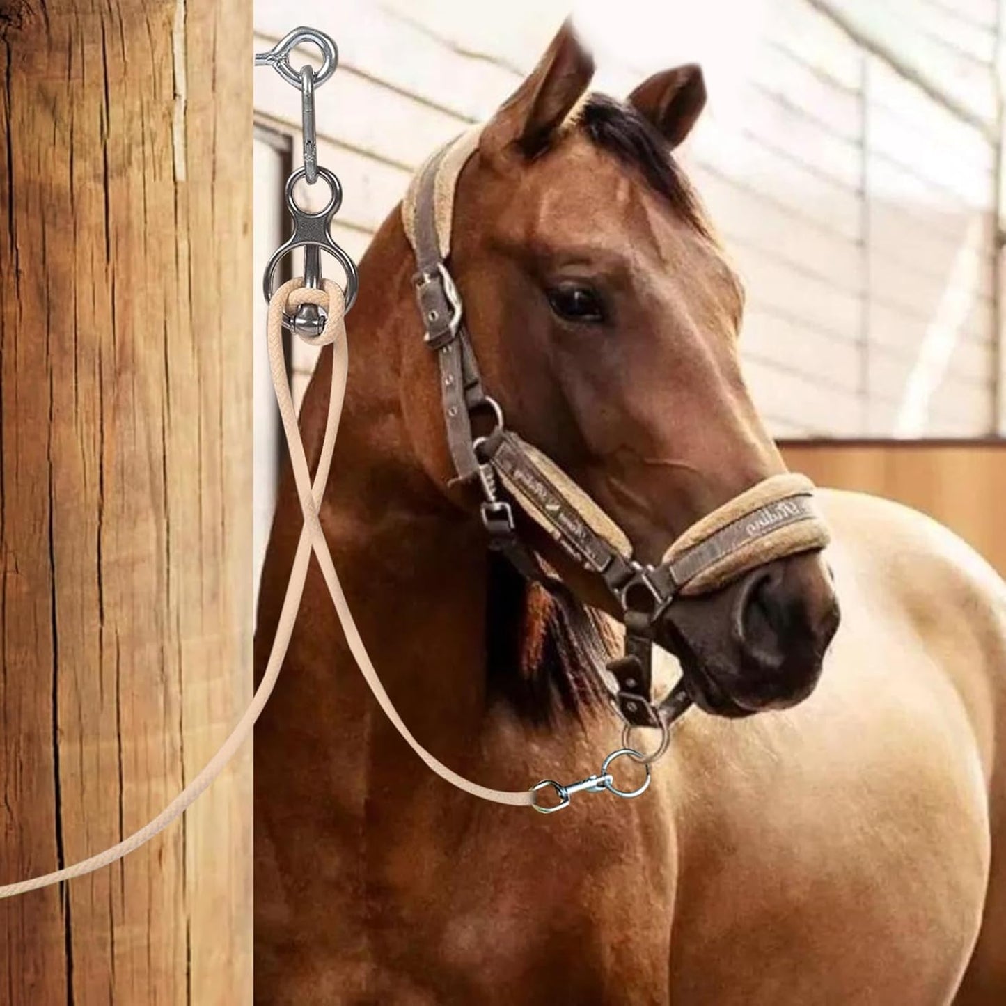 Horse tie Down Ring | Stainless Steel Heavy Duty Pull Back Release | Horse tack and Supplies - Indoor Outdoor Stall Stable for Horse Care
