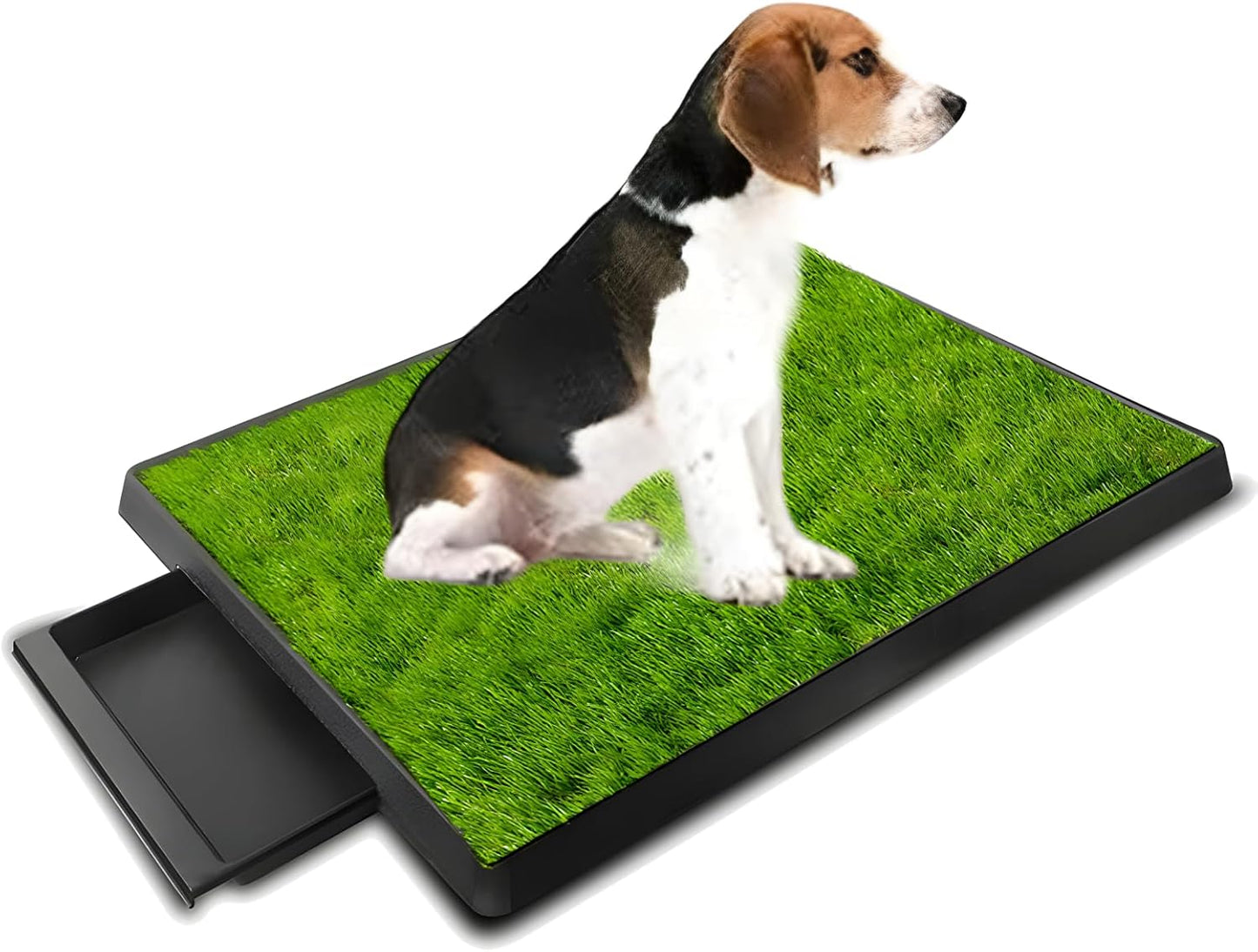 Dog Urinal containing 2 Replaceable lawns, Dog Potty Grass .Portable pet bedpans That can be Washed， Suitable for Almost All Types of Dogs. Length: 25 inches. Width 20 inches. Height: 3 inches