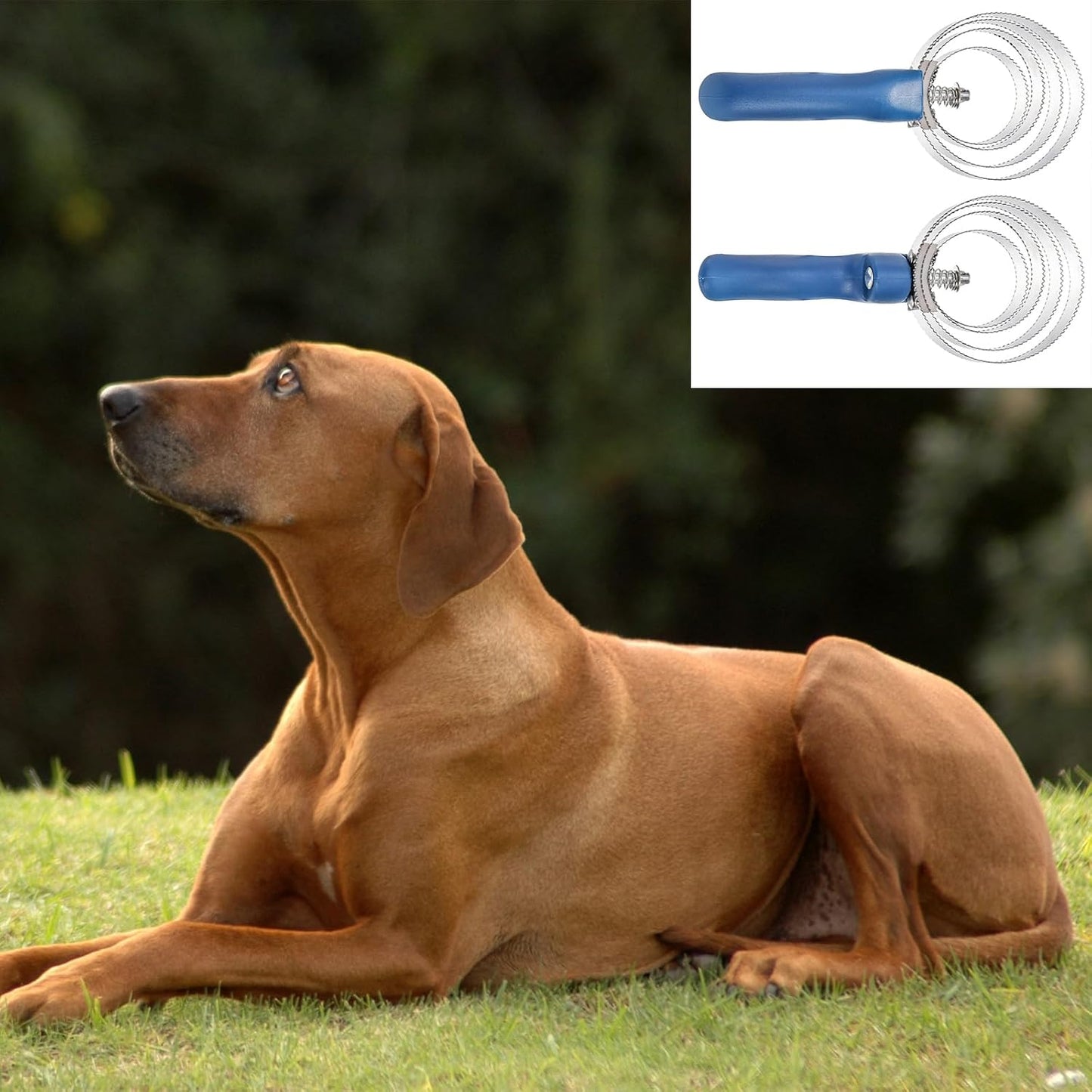 ZENFUN 6 Pcs Reversible Curry Combs, 4 Rings Stainless Steel Horse Curry Combs with Blue Rubber Grip, Double Sided Curry Brush, Horse Shedding Tool for Sheep, Cattle