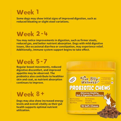 Probiotics for Dogs – Digestive Enzymes, Gut Health & Immune Support – Helps with Diarrhea, Upset Stomach, Seasonal Allergies & Itchy Skin – Vet Approved Pumpkin Flavor Soft Chews, 90 Count