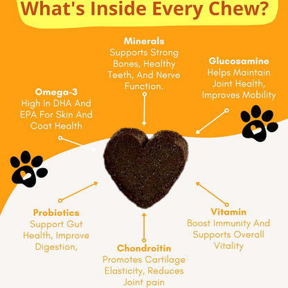 Dog Vitamins Chews- Treats – Glucosamine Chondroitin for Joint Support + Digestive Enzymes & Probiotics – for Small Large Breeds-Vitamins Multivitamin for Skin, Coat & Immune Health