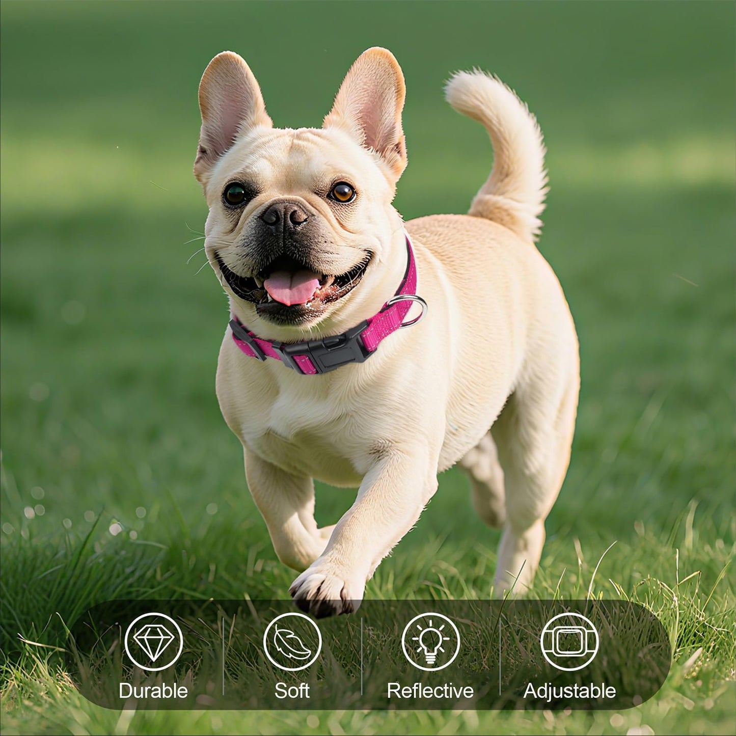 Reflective Dog Collar, Soft Neoprene Padded Nylon Pet Collar with Quick-Release Buckle, No-Choke Design Adjustable for Small Dogs,Hotpink,S