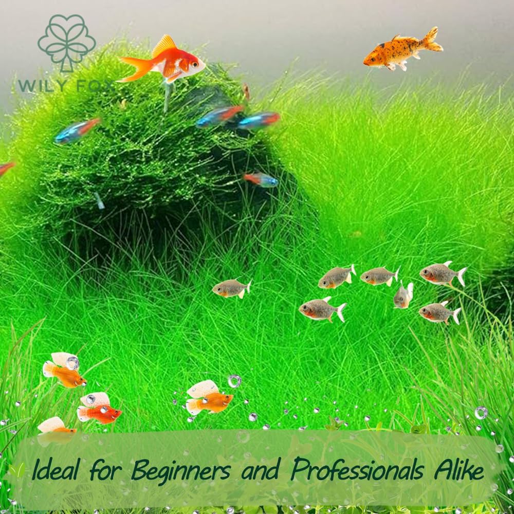 Premium Aquarium Plant Seeds for Planting – 13,000+ Live Mixed Seeds, 8 Varieties – Easy-to-Grow Aquatic Greenery for Lush, Vibrant Fish Tanks