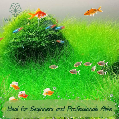 Premium Aquarium Plant Seeds for Planting – 13,000+ Live Mixed Seeds, 8 Varieties – Easy-to-Grow Aquatic Greenery for Lush, Vibrant Fish Tanks