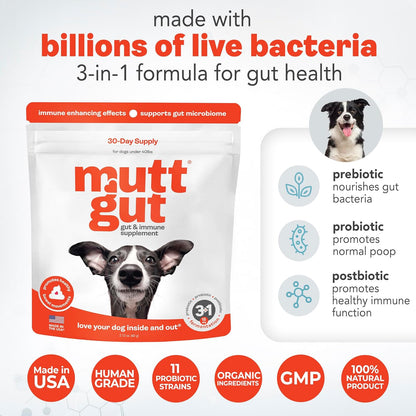 All-Natural 3-in-1 Dog Probiotic, Prebiotic, and Postbiotic Supplement Powder - Probiotics for Dogs with 135 Billion CFUs, Anti Diarrhea, Digestive Enzymes & Antioxidants (60g)