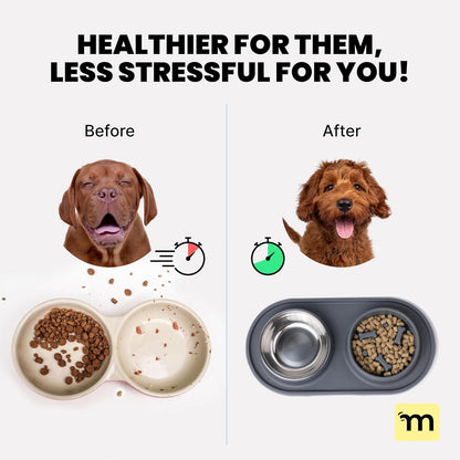MalsiPree Cat & Dog Slow Feeder Bowl – Improve Digestion – Stainless Steel Water Bowl & Anti-Spill Silicone Mat – for Small & Medium Breeds – 15 oz - Puppy Slow Feeder