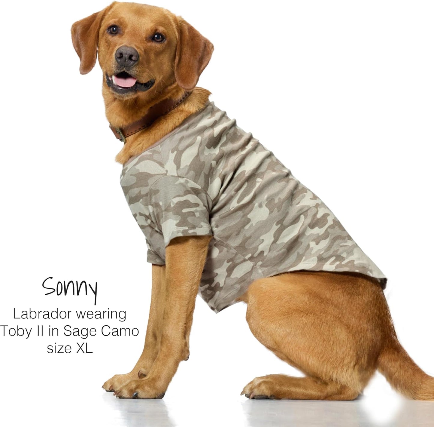 Toby II - The Perfect Tee, 3 Pack Short Sleeve Pet T-Shirt 100% Organic Cotton Tees Clothes for Small, Medium, Large Dogs, Sage Camo, Small (10-25 lbs)