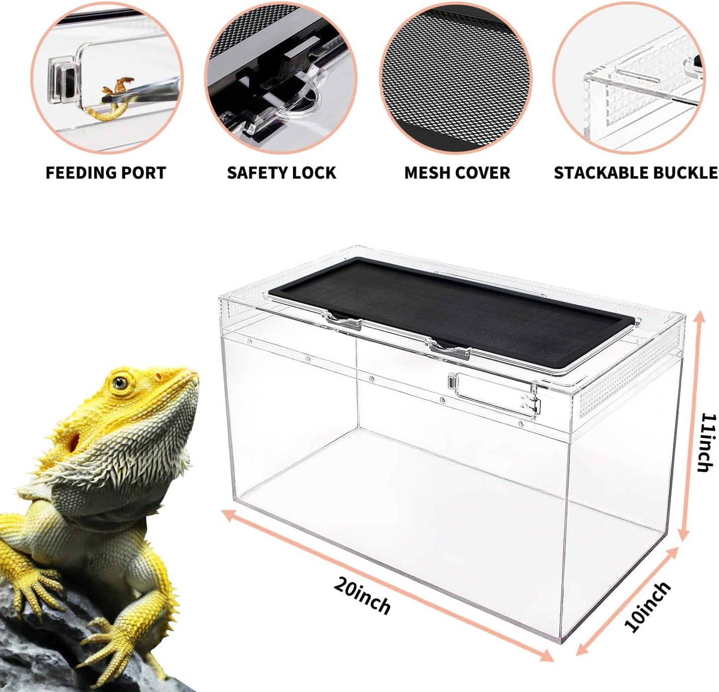Reptile Terrarium,10 Gallon Reptile Tank 20" x 10"x 11",for Insect，Fish，Tarantula，Hermit Crab，Jumping Spider，Iguana，Tortoise，Leopard Gecko，Bearded Dragon