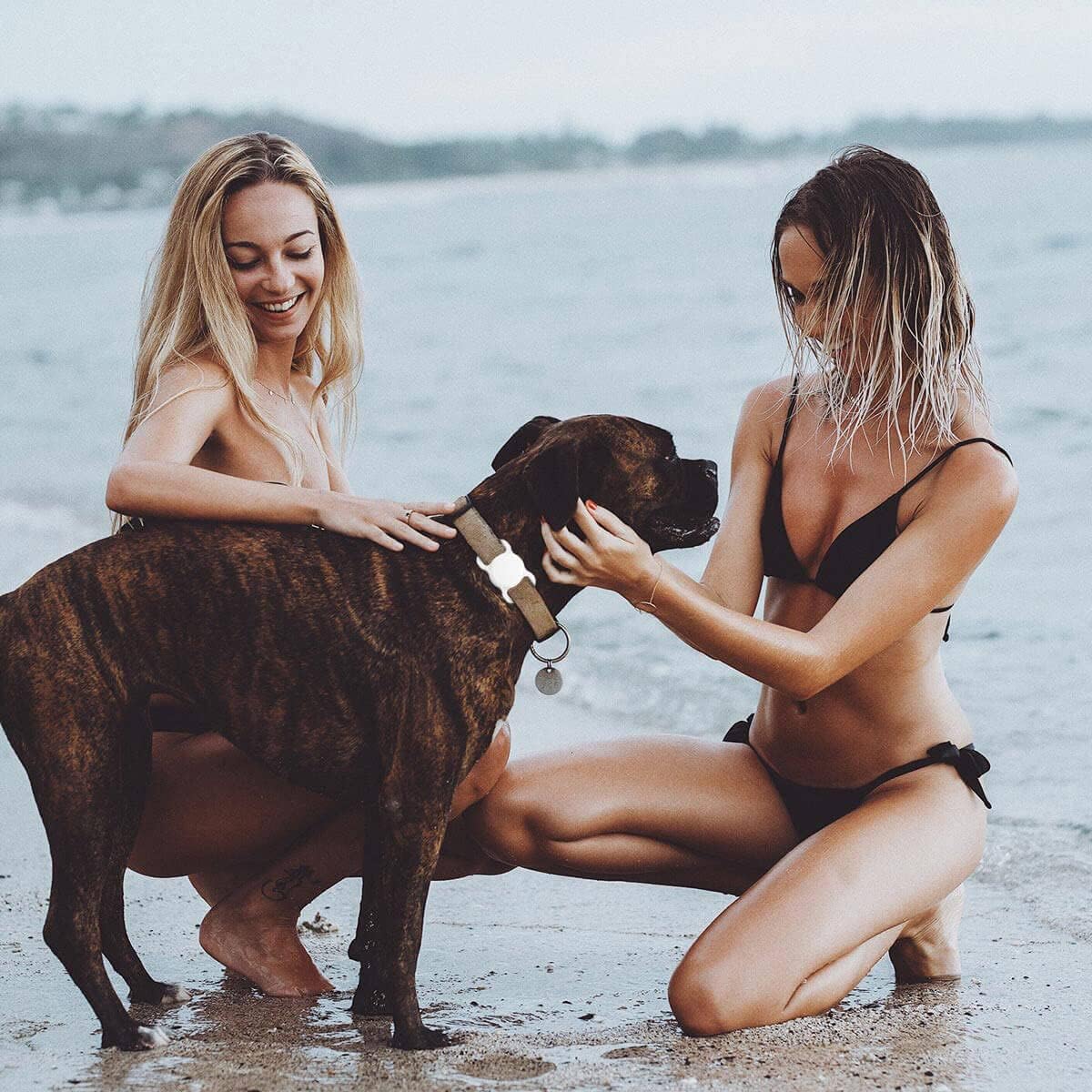 SWINCHO for AirTag Dog Collar Holder [2 Pack] Waterproof High-Strength Elastic Silicone Dog Cat Air Tag Holder, (Black&White)