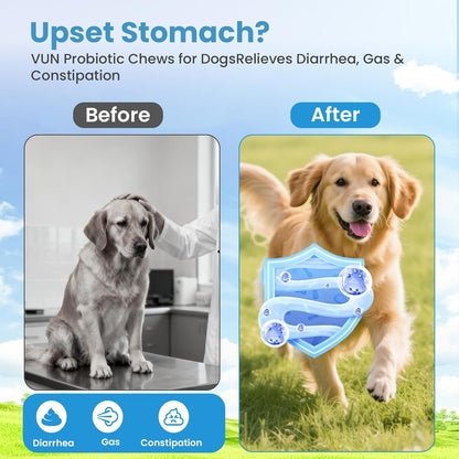 Probiotics for Dogs, Digestive Support Supplements Gut Health, Flora, Pet Dog Probiotic Supplement Soft Chews with Prebiotics for Upset Stomach, Puppy Probiotics Immune System