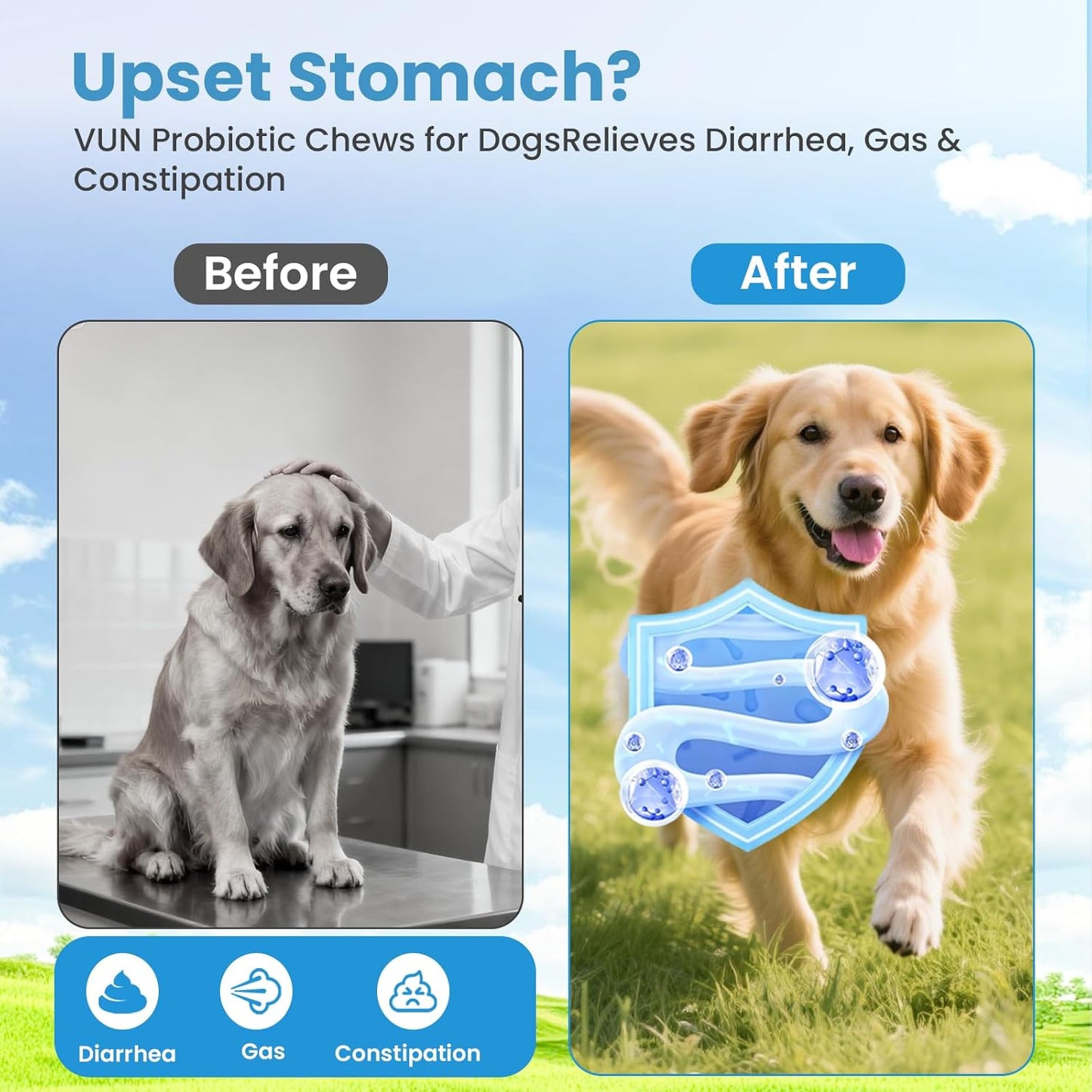 Probiotics for Dogs, Digestive Support Supplements Gut Health, Flora, Pet Dog Probiotic Supplement Soft Chews with Prebiotics for Upset Stomach, Puppy Probiotics Immune System