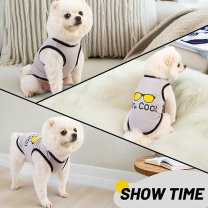 2Pack Dog Shirts for Boy, Dog Clothes (up to 38 lbs.), Puppy Clothes, Pet T Shirt for Small and Medium Breeds, Tank Top, Chihuahua & Yorkies & Dachshund Outfit, Cotton Fabric(2pcs,XXX-Large)