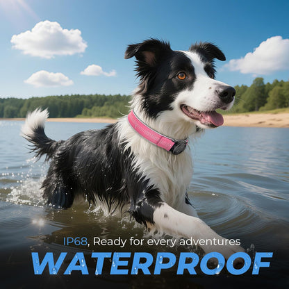 Waterproof AirTag Dog Collar - Reflective Comfortable Dog Collars with Air Tag Holder - GPS Dog Tracker Collar with Quick Easy Install - for Large Medium Small Dogs(Pink, S)