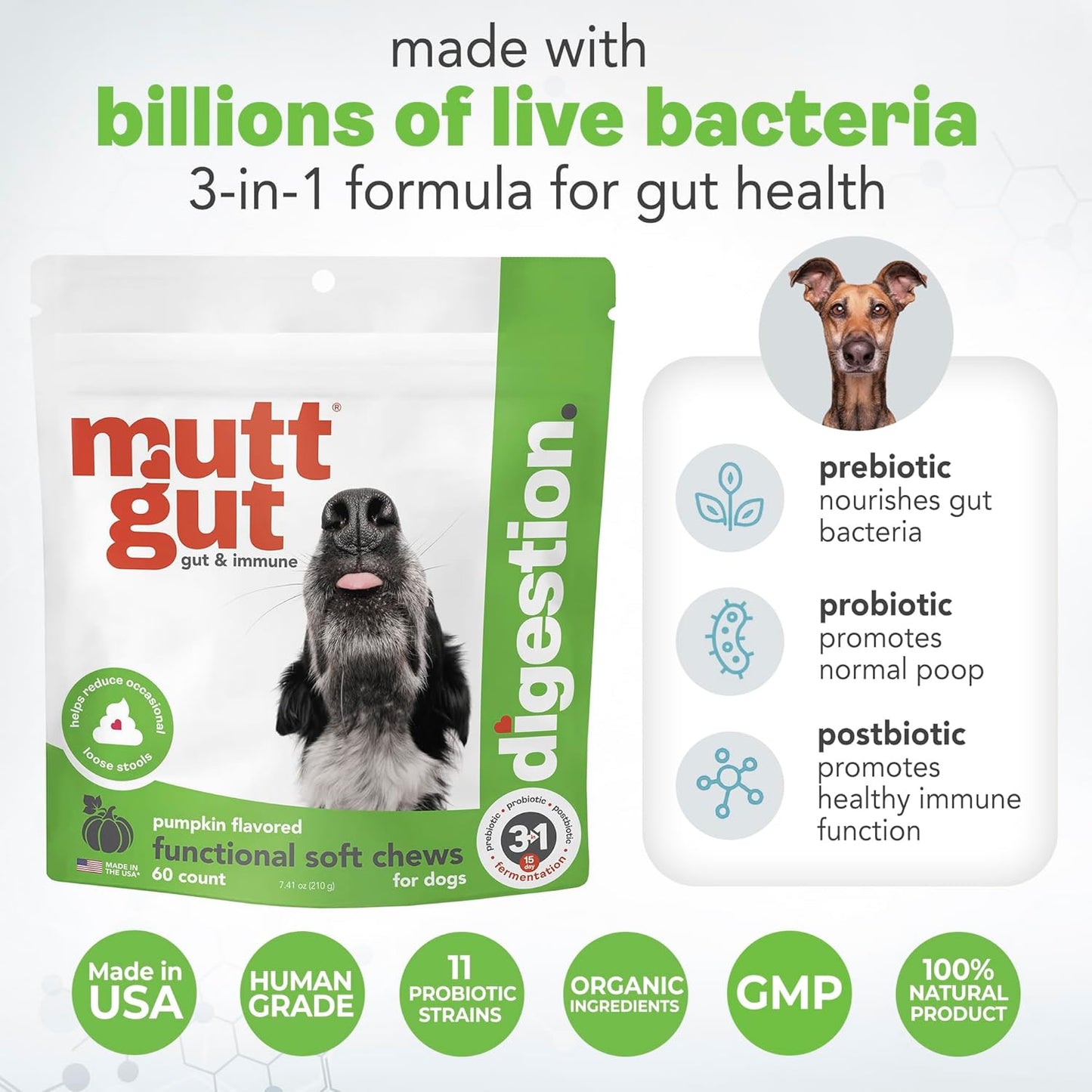 MuttGut® 3-in-1 Puppy & Dog Probiotics + Prebiotics + Postbiotics Chews - Promotes Digestive Health, Supports Immune System and Overall Health - Dog Diarrhea Relief & Immune Support - 60 Soft Chews